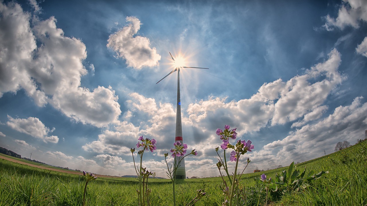 La energía eólica es una de las renovables más usada