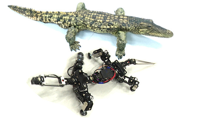 Los biorobots más completos tienen un esqueleto mecánico y un exterior que imita la piel del animal real.