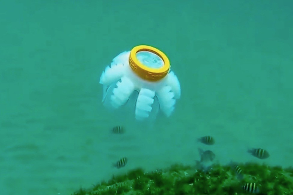 Estos biorobots imitan los movimientos de las medusas.