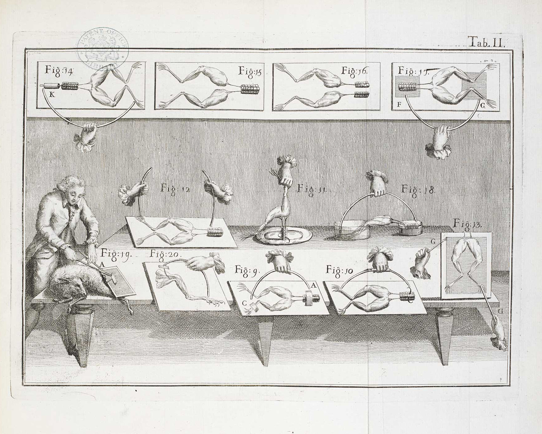 Ilustración sobre los experimentos de Galvani con ranas.