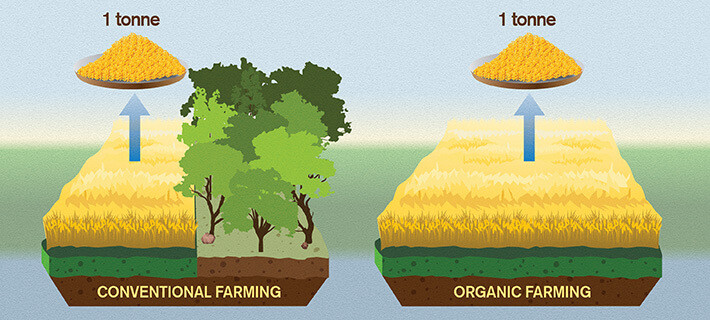 La agricultura ecológica podría estar agravando el cambio climático