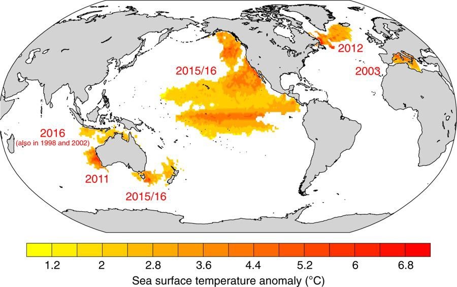 Las olas de calor estudiadas se han dado sobre todo en el océano Pacífico.