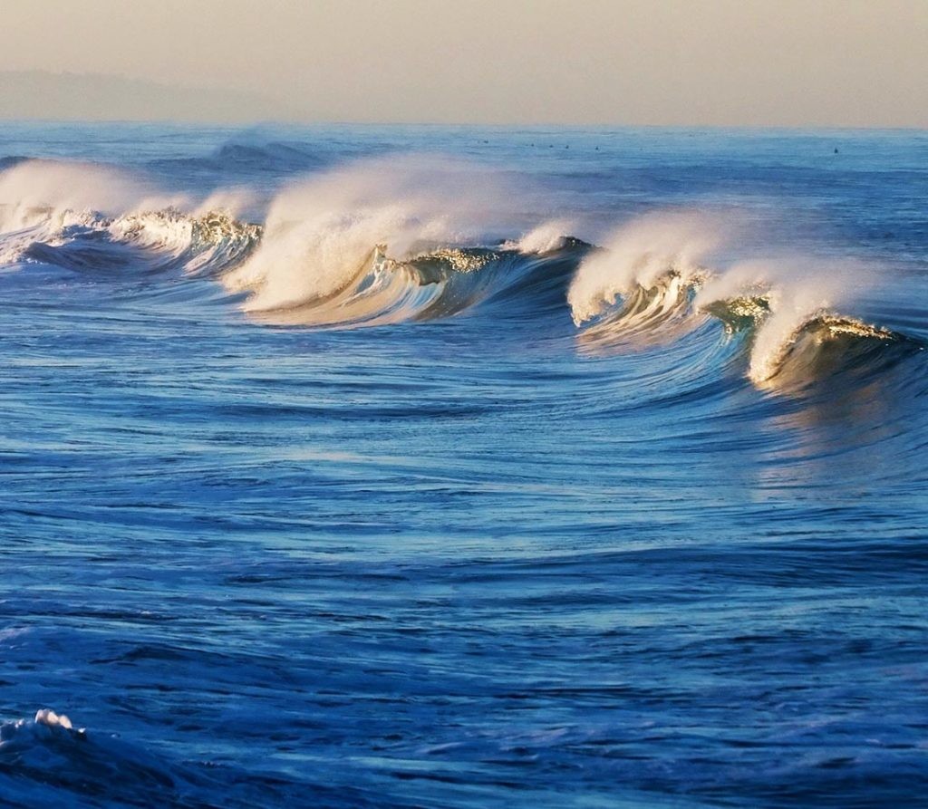 En los últimos años se han registrado múltiples olas de calor marinas.