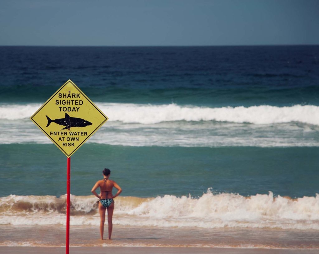 La zona en la que se han contabilizado más casos de ataque de tiburón es Florida (EE.UU.).