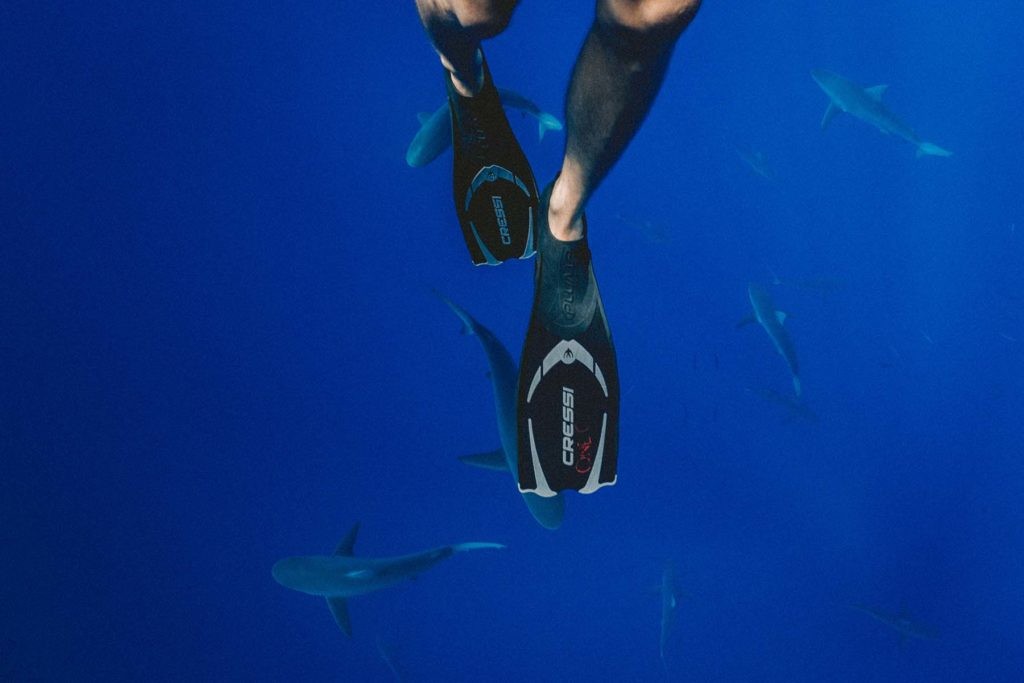 Las víctimas de ataques de tiburón suelen ser personas que realizan deportes acuáticos.