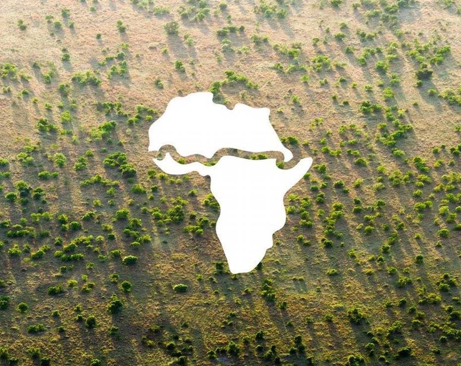 Green Wall: una gran cadena de árboles del oeste al este de África.