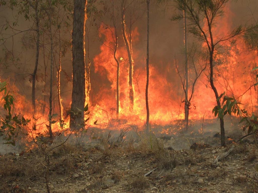 incendios y cambio climático, imagen de los fuegos en Australia en 2010
