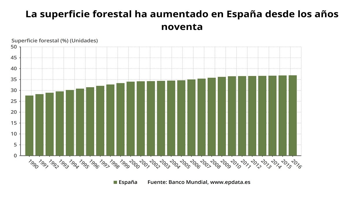 Superficie de bosques en España