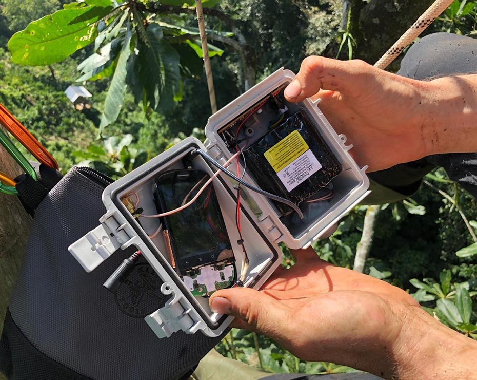 La ONG creada por Topher White usa dispositivos móviles para detectar sonidos en la selva.