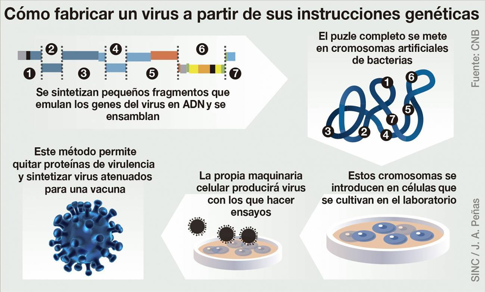 avances vacuna contra el coronavirus