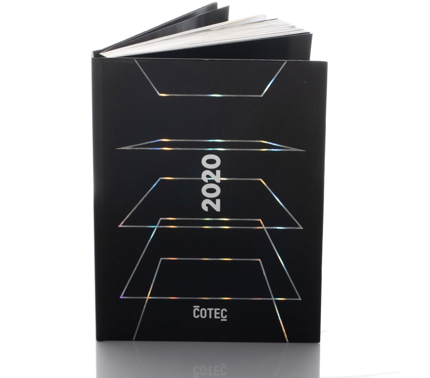 informe cotec 2020