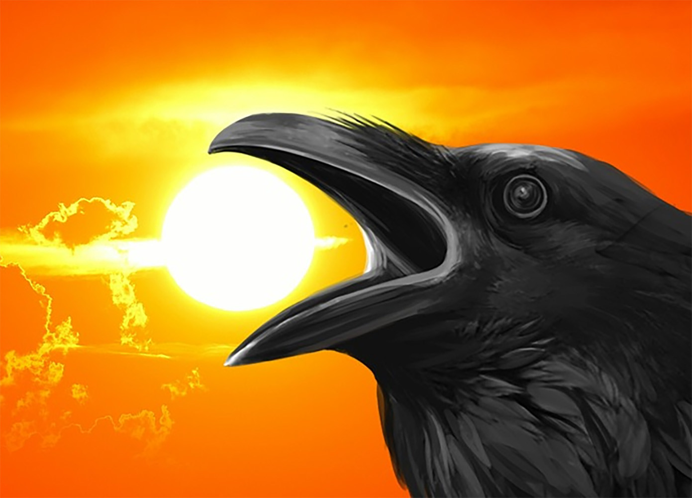 la paradoja del cuervo en la ciencia