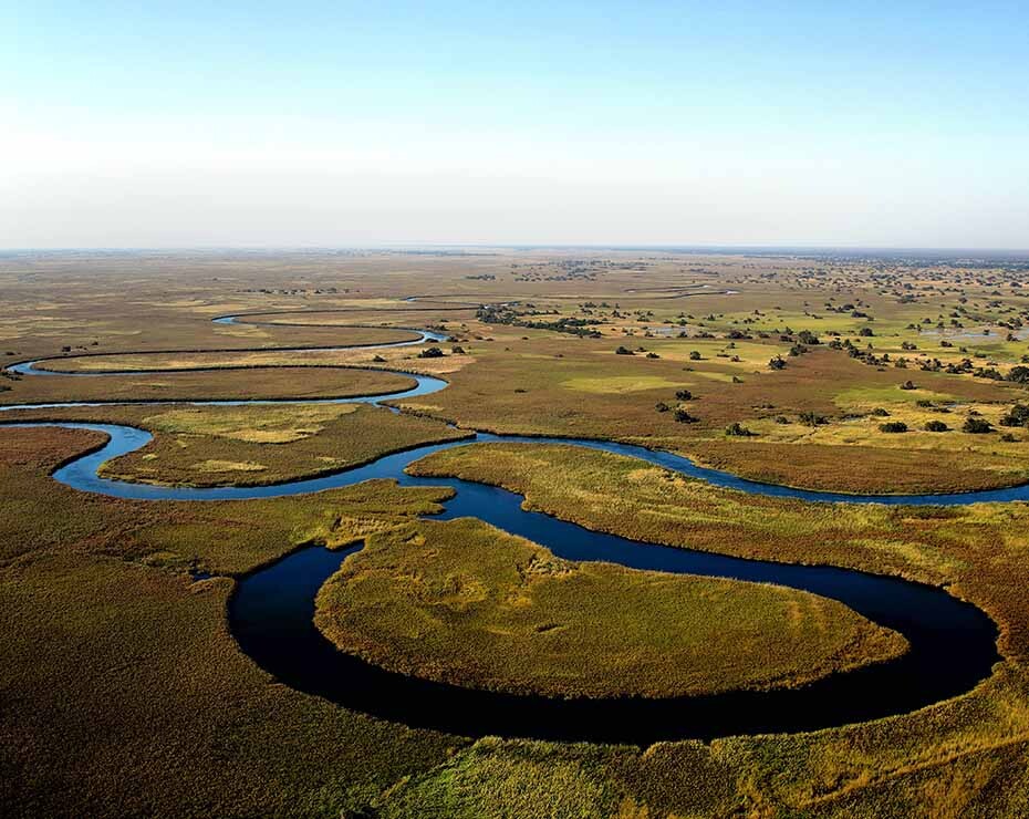 Las muertes de elefantes en Botsuana se concentraron en el delta del Okavango.