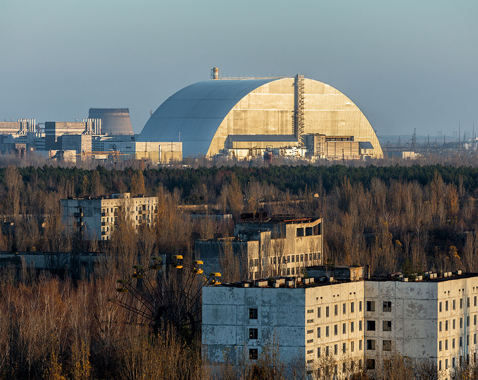 radames chernobyl hongos