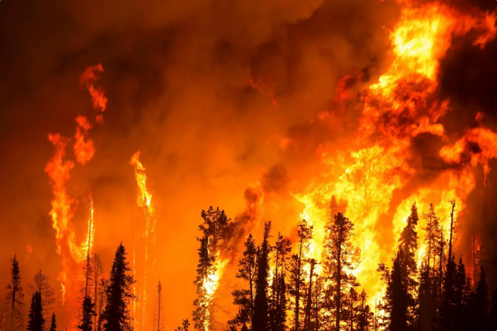 la relación entre incendios y cambio climático es compleja
