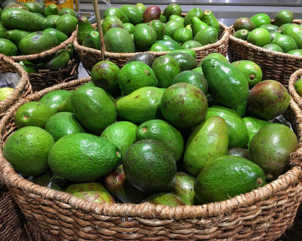 cesta con varios kilos de aguacates, una fruta cada vez más cultivada en España