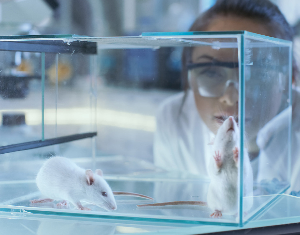 tecnologia-holobionte-laboratorio-ratones-bacterias-microbioma