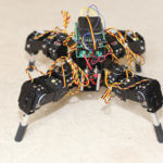 Organoides en robots arañas