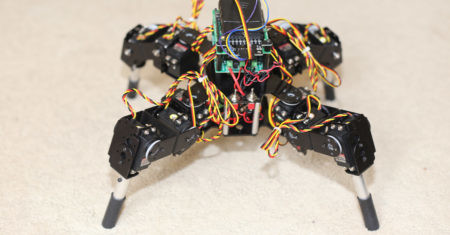 Organoides en robots arañas