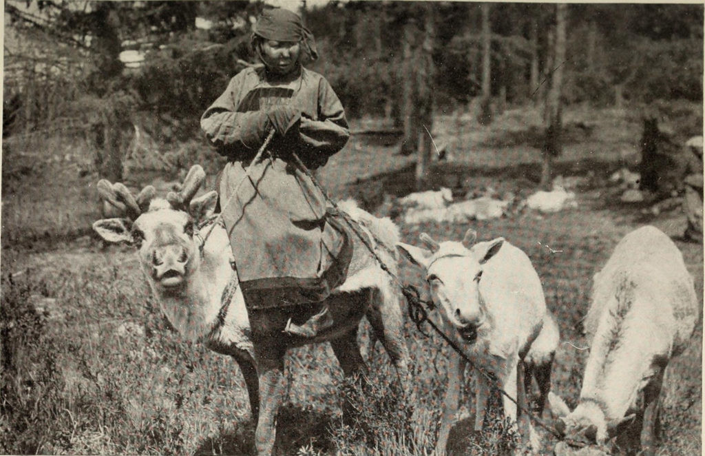 pastores de renos de mongolia hace 100 años