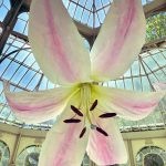 Palacio de Cristal: Flores y pájaros