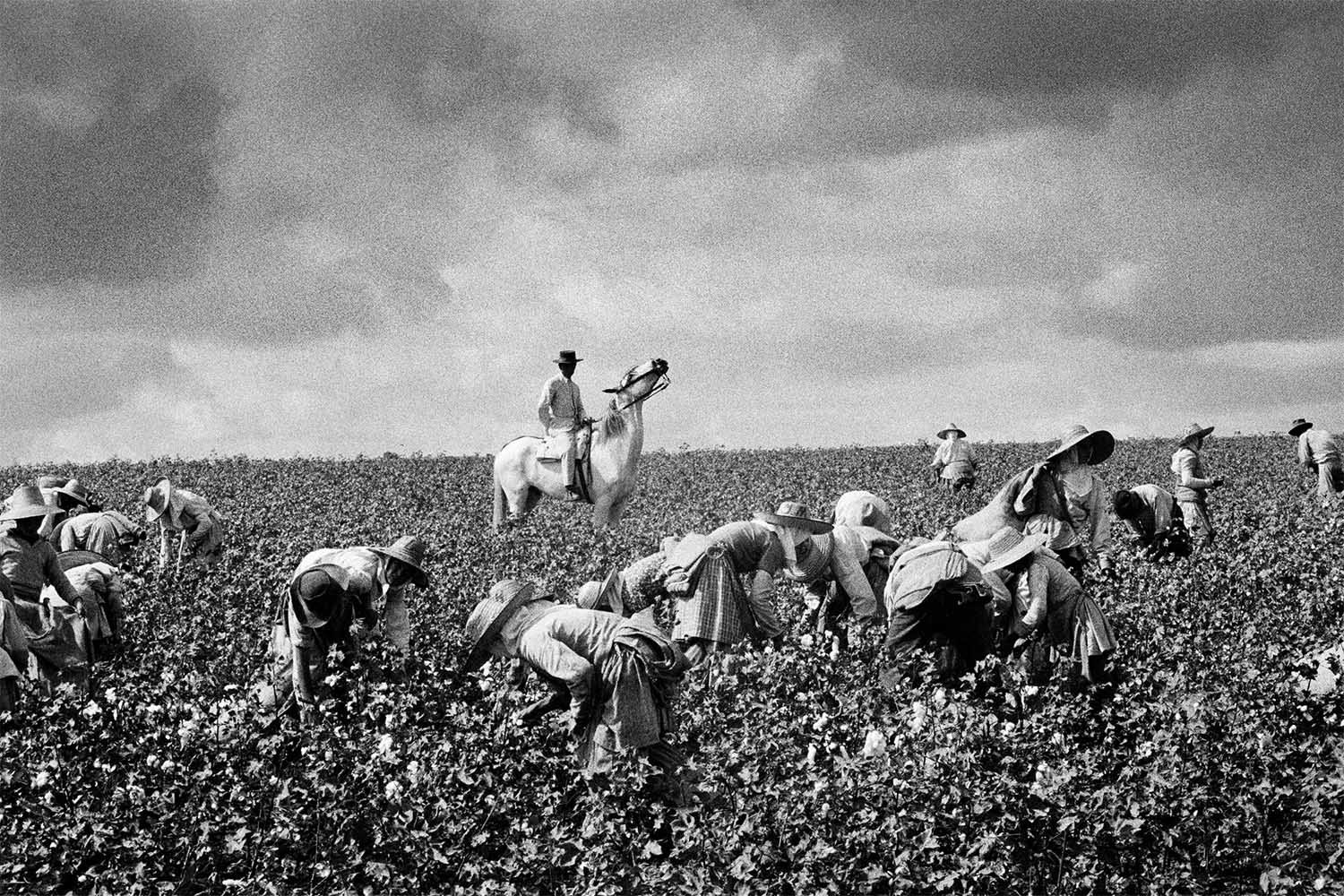 Ramón Masats, Jerez de la Frontera, 1963