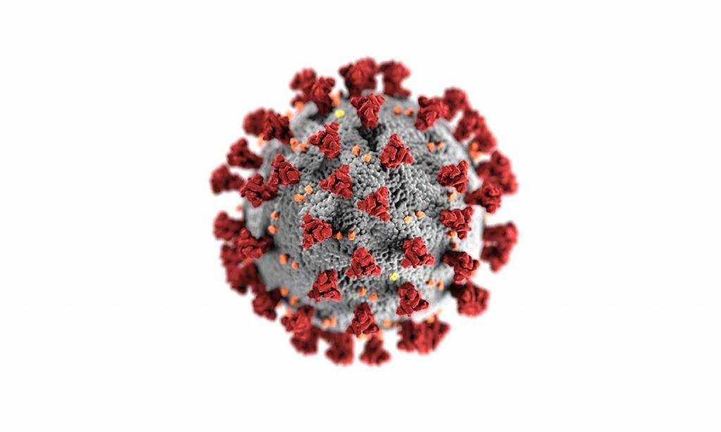imagen del coronavirus
