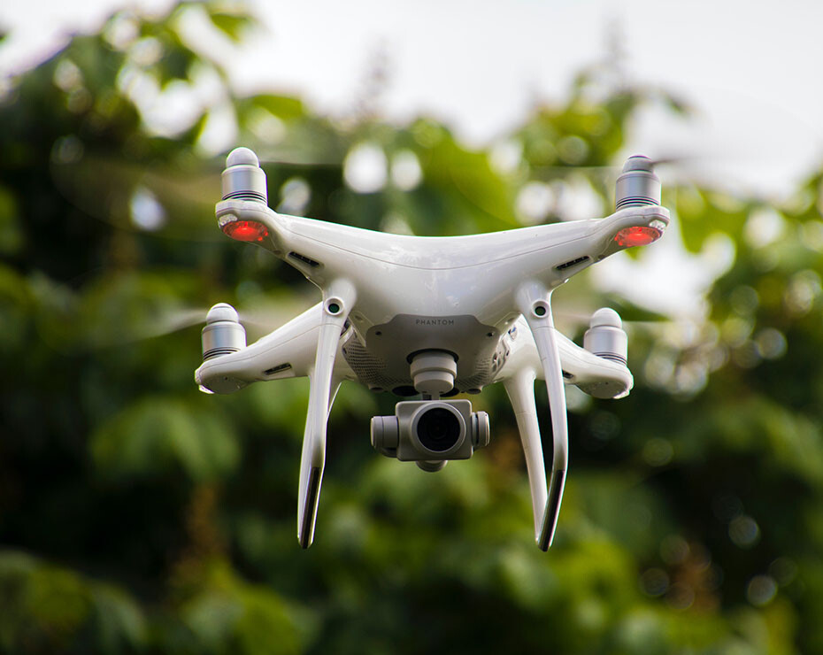 Los drones pueden servir para detectar cambios en la vegetación en grandes superficies de terreno.