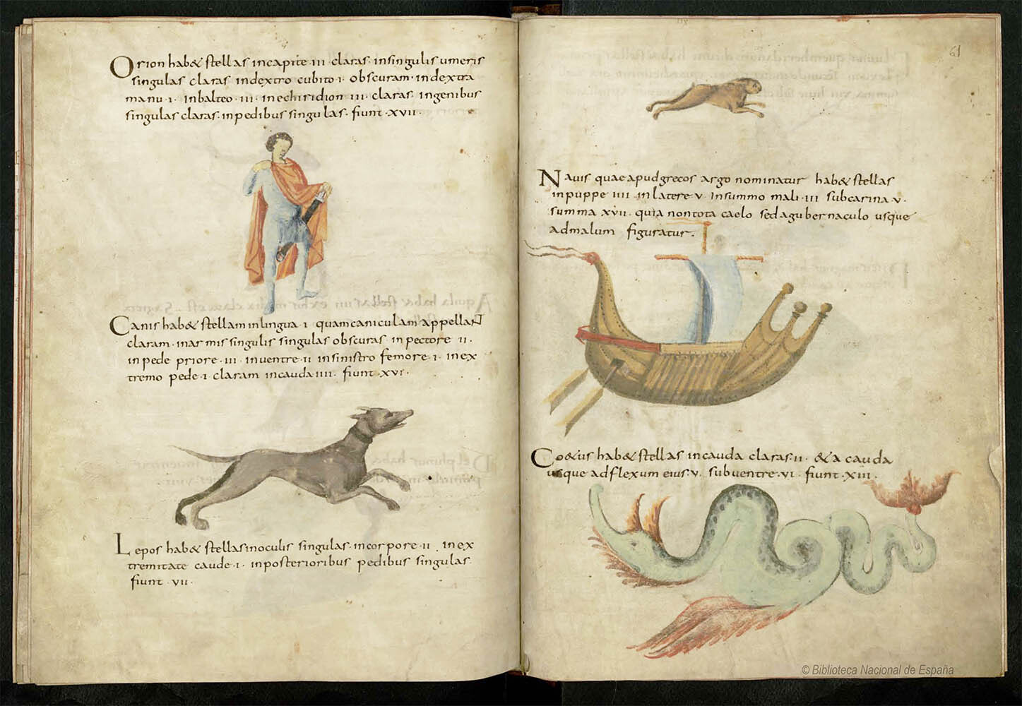 Edad Media Manuscritos iluminados