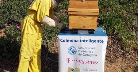 colmenas inteligentes en Cartagena