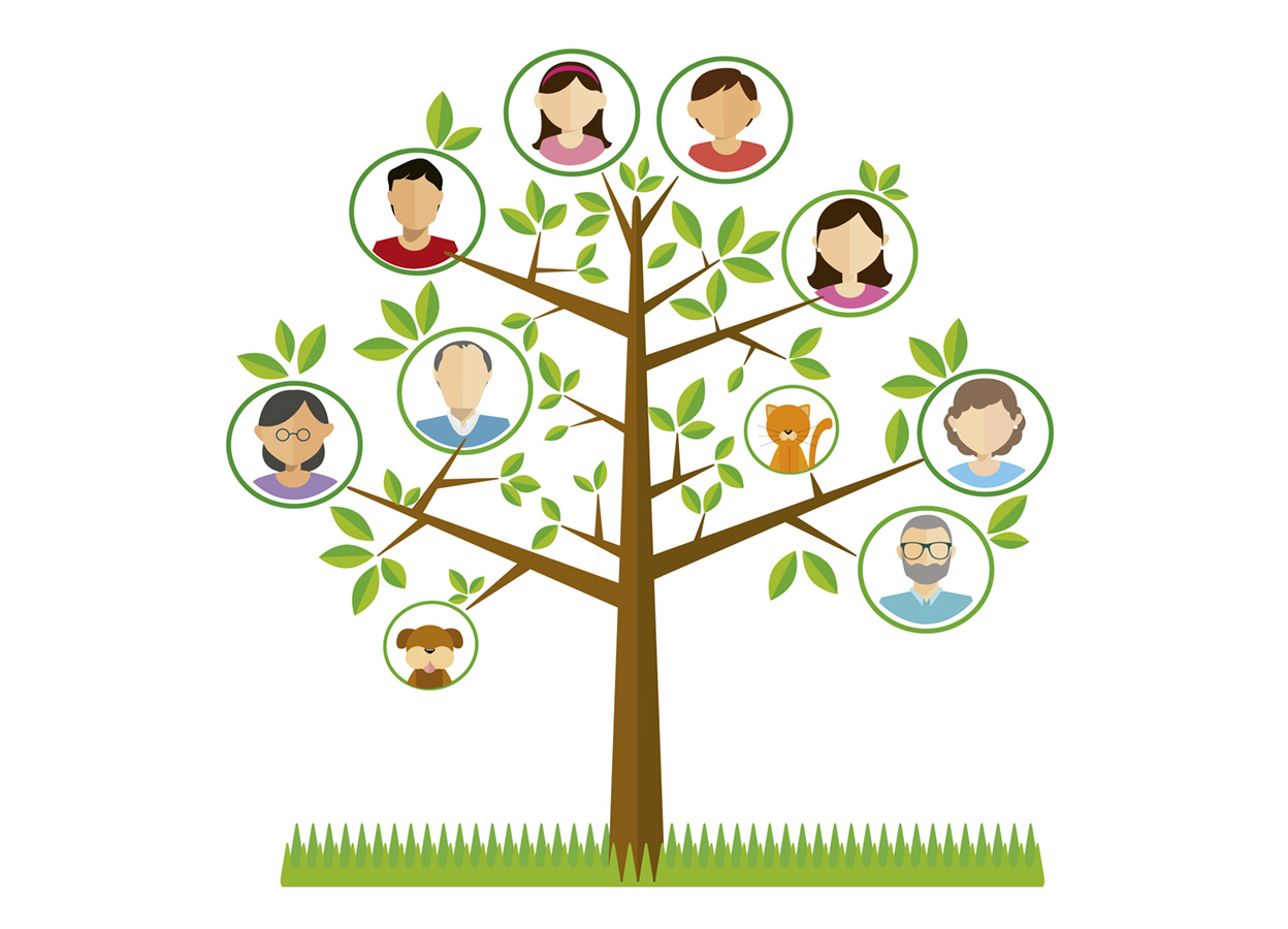 árbol genealógico familia