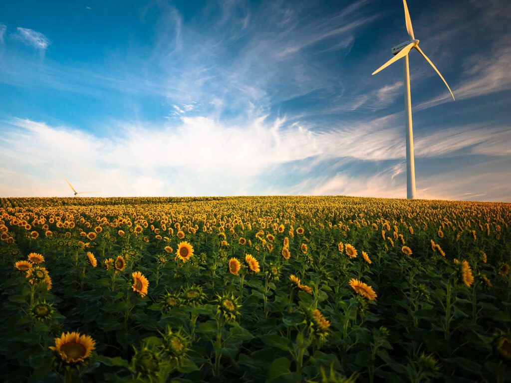 las renovables han crecido a gran velocidad en el último año