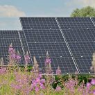 los beneficios de las plantas fotovoltaicas para la fauna y la flora