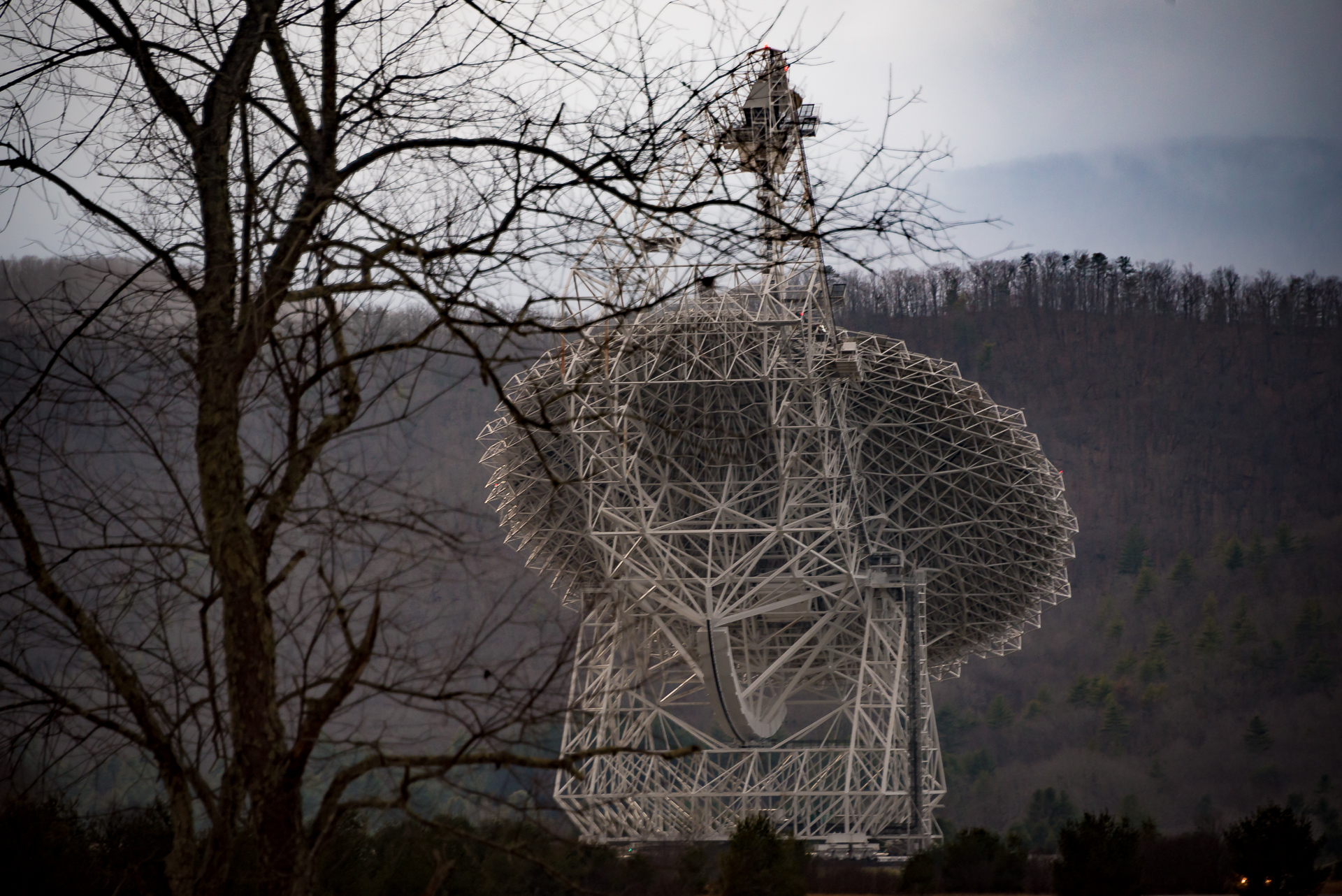 El Telescopio Green Bank. Crédito: Chris Schodt/Breakthrough Listen.
