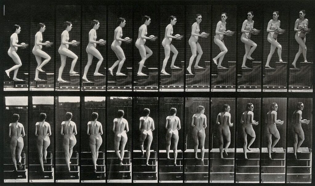 Secuencias de imágenes creadas por el artista Eadweard Muybridge