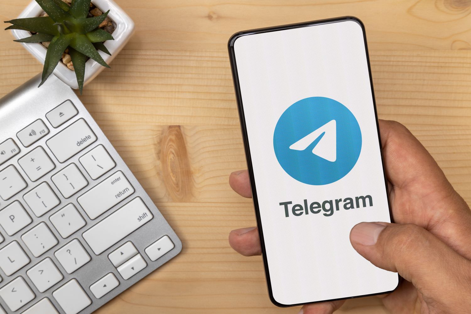 Los mejores grupos de Telegram de este 2023