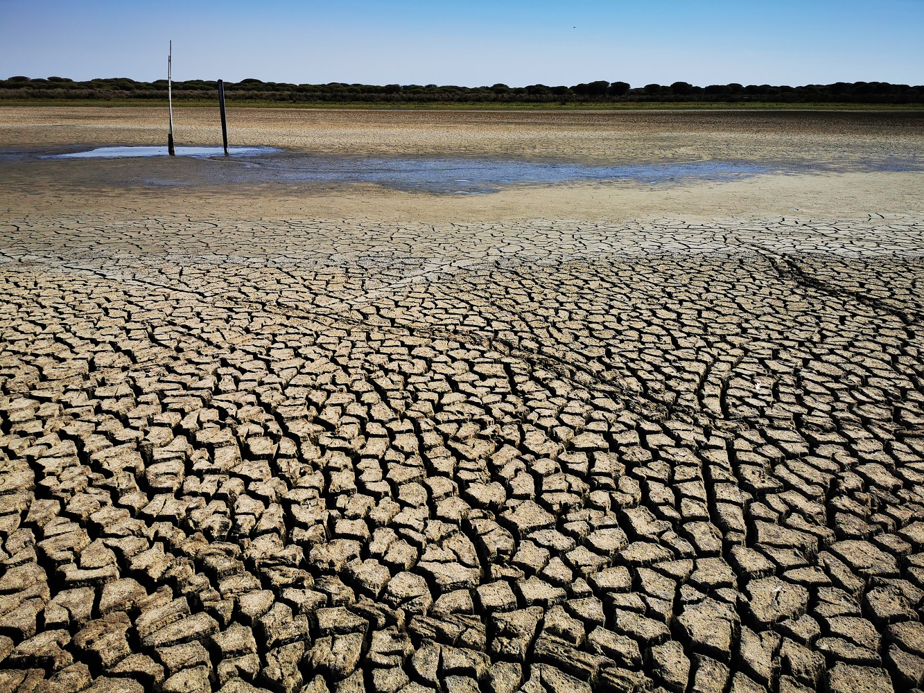Calor en España. La laguna de Santa Olalla, la única permanente que quedaba en Doñana, se secó completamente en el verano de 2022. / Carmen Díaz Paniagua