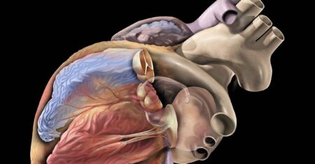 inteligencia artificial para detectar arritmias cardiacas